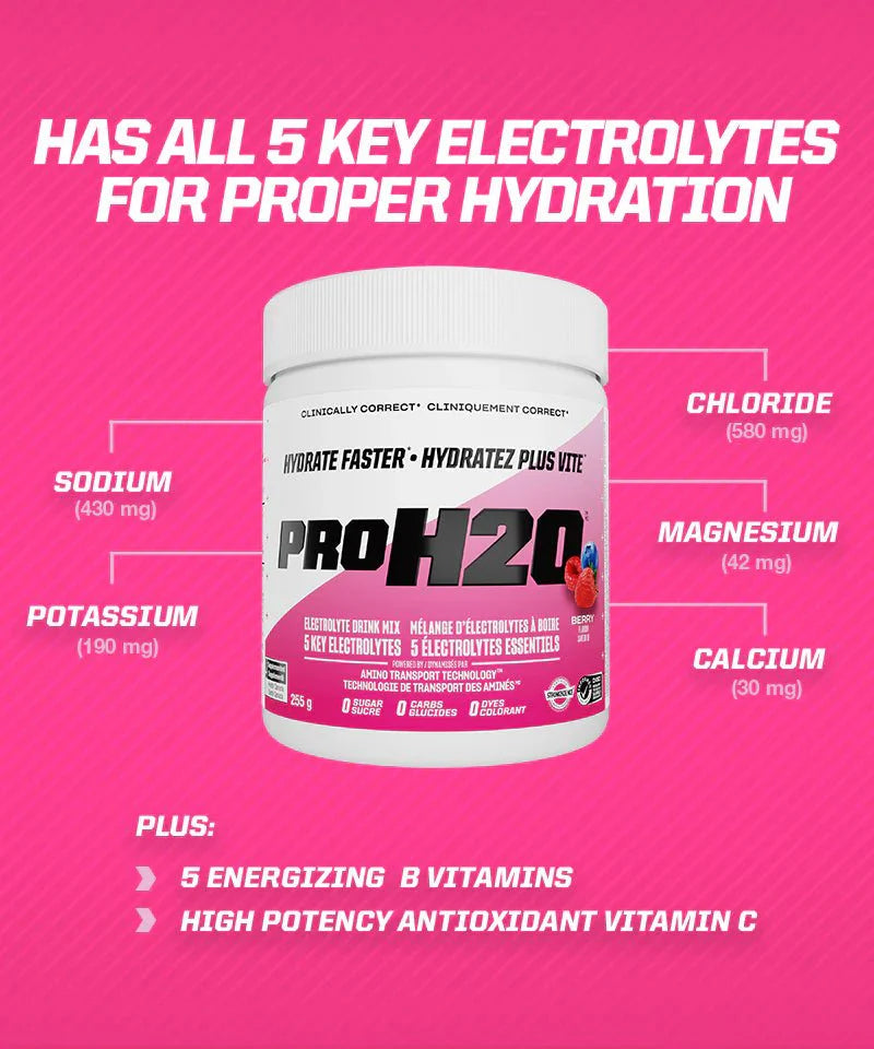 PVL PROH2O Electrolyte Mix | Sky Nutrition