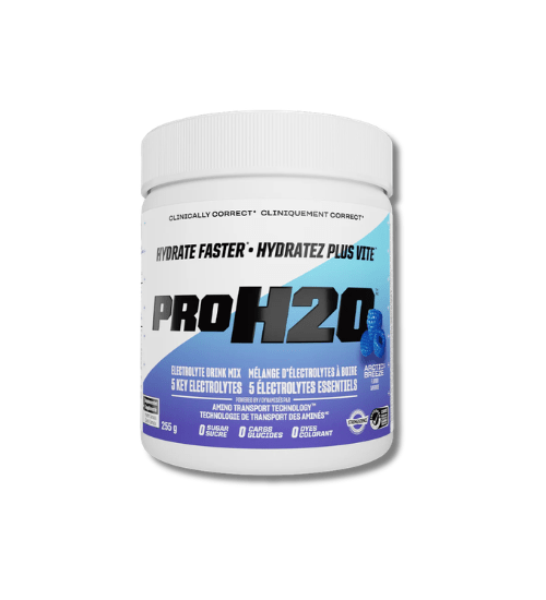 PVL PROH2O Electrolyte Mix | Sky Nutrition
