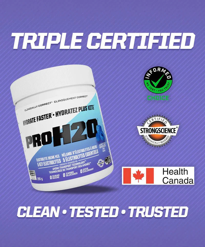 PVL PROH2O Electrolyte Mix | Sky Nutrition