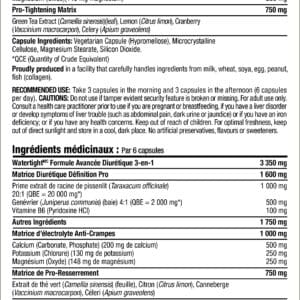 PVL Gold Series Watertight 90 Caps - TopDog Nutrition